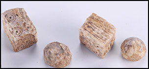 Réécrire la force au féminin : Pourquoi les aptitudes féminines sportives sont-elles encore à ce jour tant dévalorisées ?