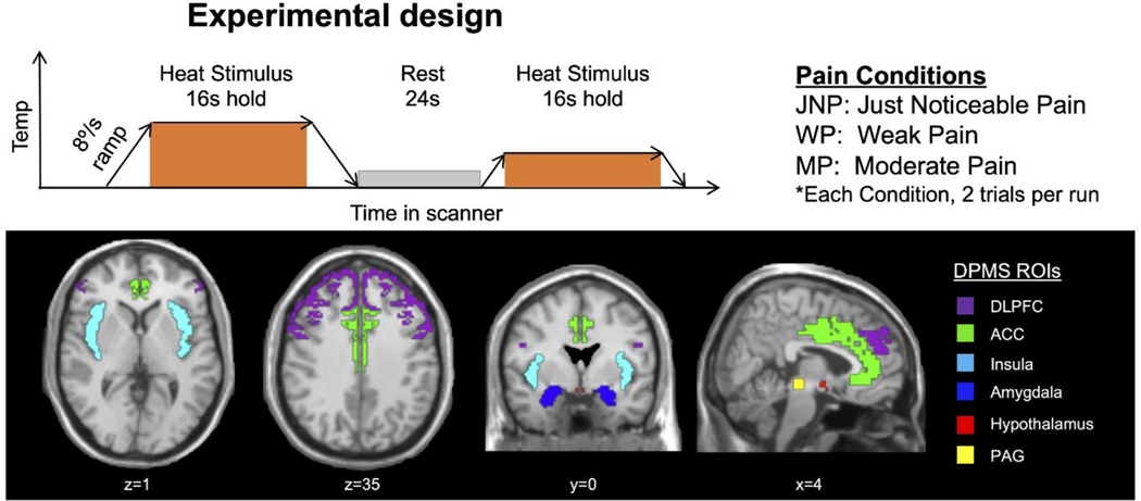 Réécrire la force au féminin : Pourquoi les aptitudes féminines sportives sont-elles encore à ce jour tant dévalorisées ?